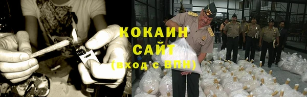 PSILOCYBIN Заводоуковск