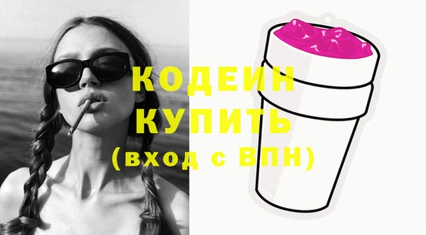 меф Ельня