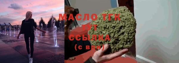 меф Ельня