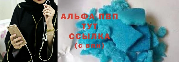 PSILOCYBIN Заводоуковск