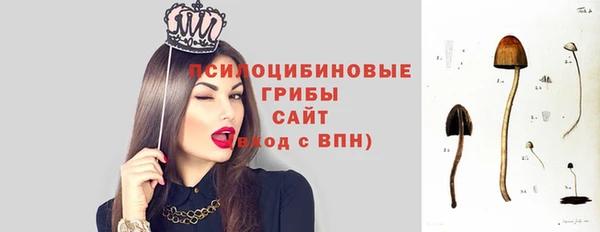 меф Ельня
