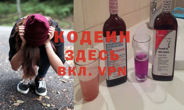 меф Ельня